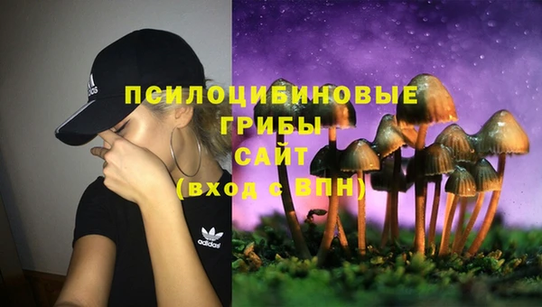 экстази Новозыбков