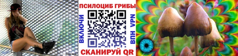 Псилоцибиновые грибы Cubensis  Купить  Кимры 